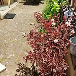 Belle Campagne Dans Les Combrailles Holiday home Saint-Julien-la-Genete