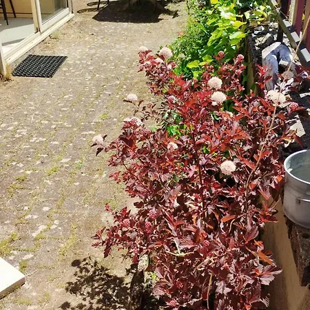 Maison De Belle Campagne Auvergnate En Combrailles Holiday home Saint-Julien-la-Genete