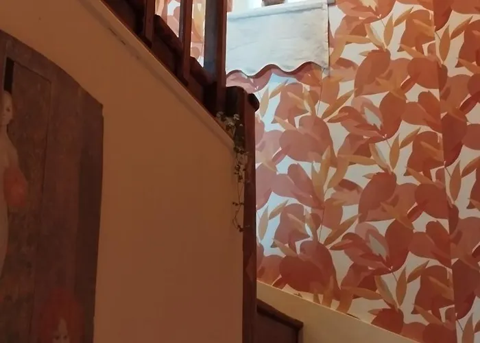 Belle Campagne Dans Les Combrailles