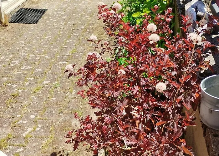 Belle Campagne Dans Les Combrailles Holiday home Saint-Julien-la-Genete